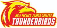 Thunderbirds Basketball vs Clarendon College