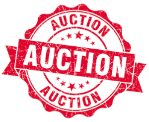 NMJC Auction