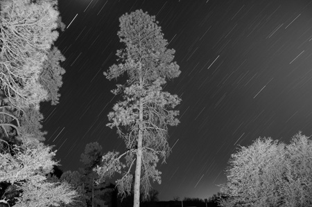 DSC_0352b7w