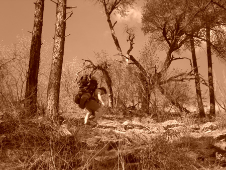 Spring 2009 003