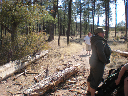 Spring 2009 008