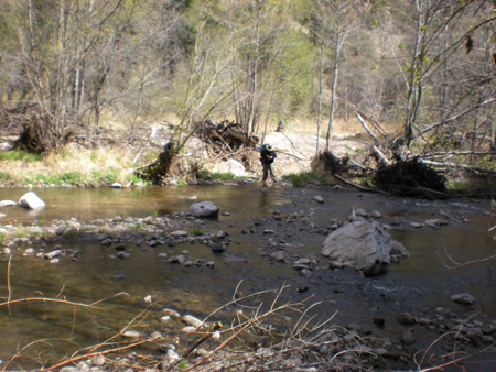 Spring 2009 014