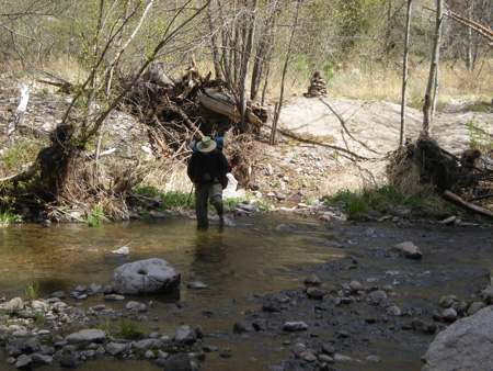 Spring 2009 016