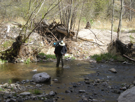 Spring 2009 017