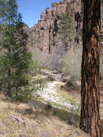 Spring 2009 019