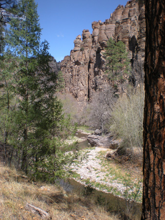 Spring 2009 020