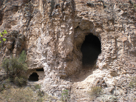 Spring 2009 021