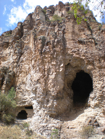 Spring 2009 023