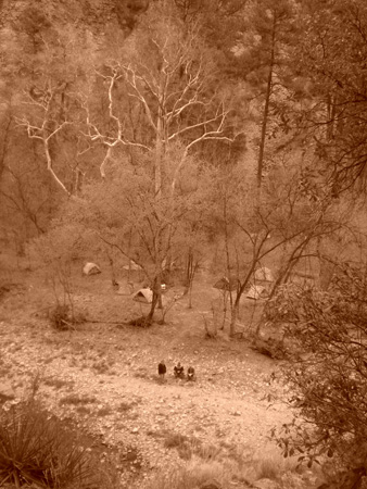 Spring 2009 032