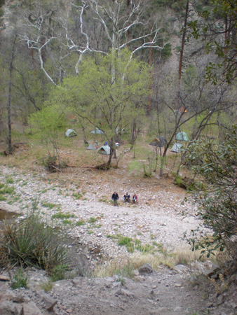 Spring 2009 033