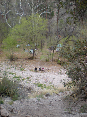 Spring 2009 034