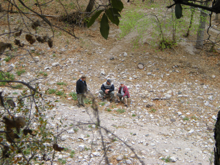 Spring 2009 041