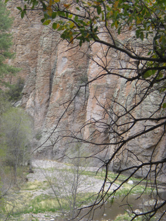 Spring 2009 046