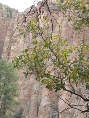 Spring 2009 047