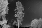 DSC_0352b7w