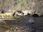 Spring 2009 014