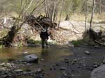 Spring 2009 016