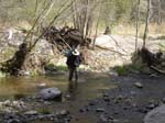 Spring 2009 017