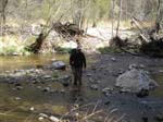 Spring 2009 018