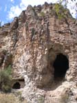 Spring 2009 022