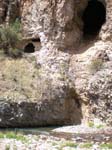 Spring 2009 024
