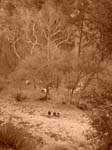 Spring 2009 032