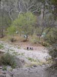 Spring 2009 033