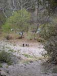 Spring 2009 034