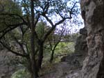 Spring 2009 039