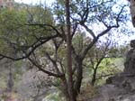 Spring 2009 040