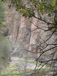 Spring 2009 045
