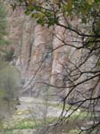 Spring 2009 046