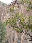 Spring 2009 047