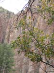 Spring 2009 048