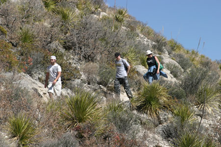 Permian Reef Trail 143