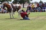 IMG_2452