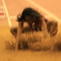 IMG_0794