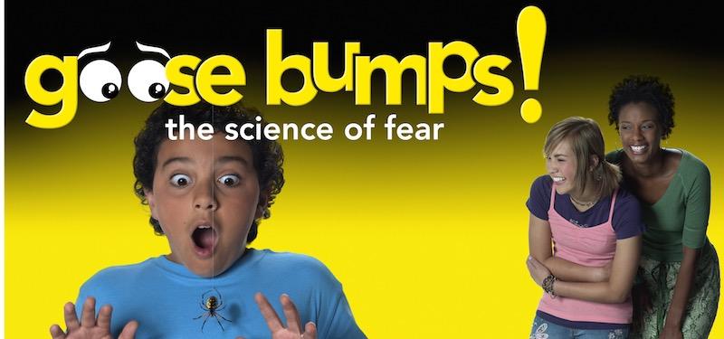 Goose Bumps!