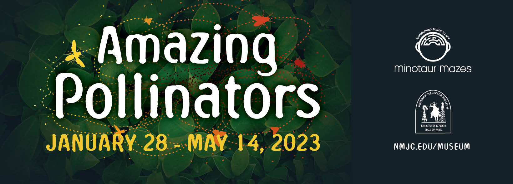 WHM Amazing Pollinators exhibit
