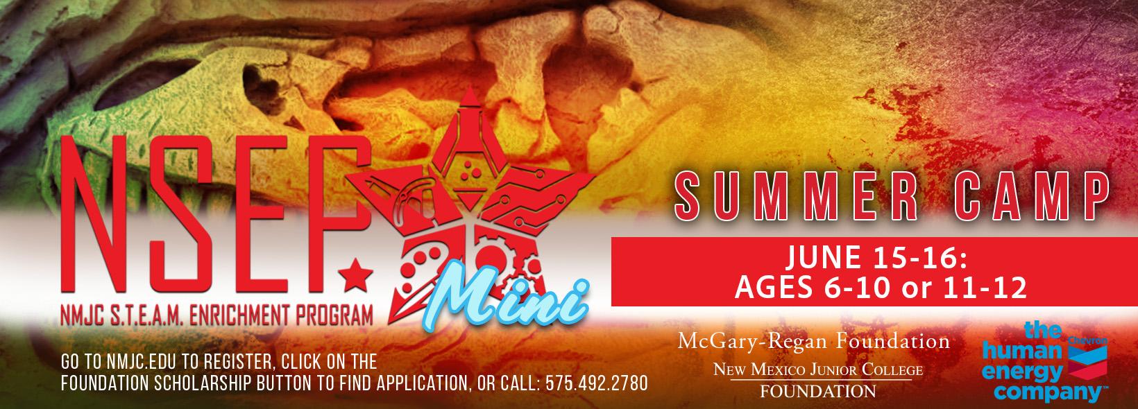 2026 NSEP Mini summer camp
