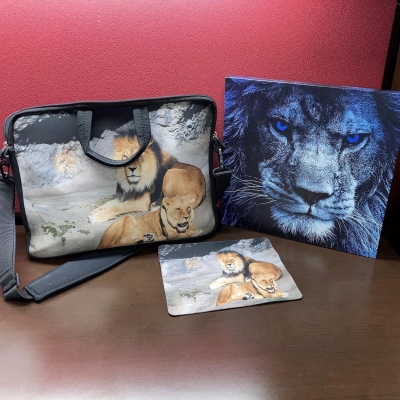 Lion Art
