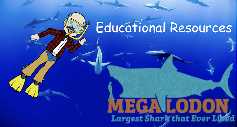 megalodon