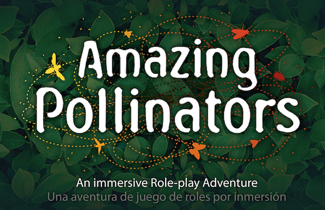 pollinator maze