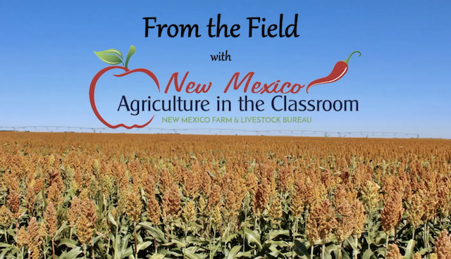 ag in the classroom