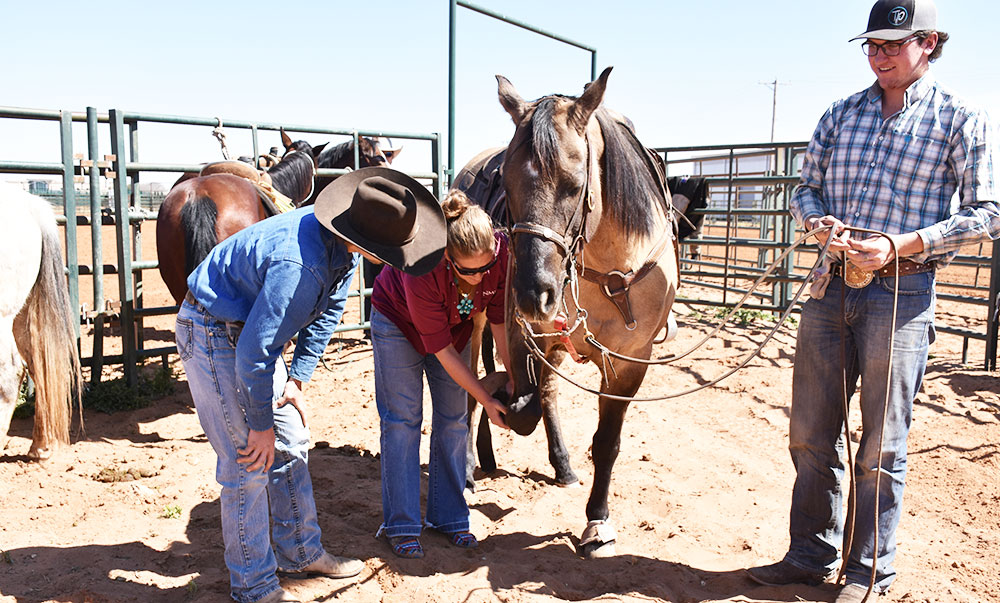 Animal science